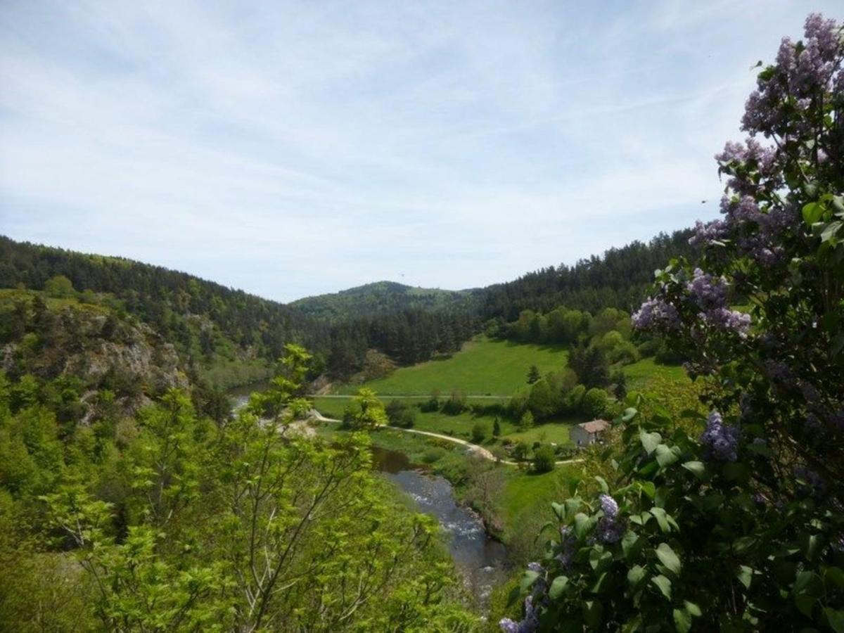 Gite 4 Pers Avec Cour, Vue Loire - Fr-1-582-122 Arlempdes Экстерьер фото